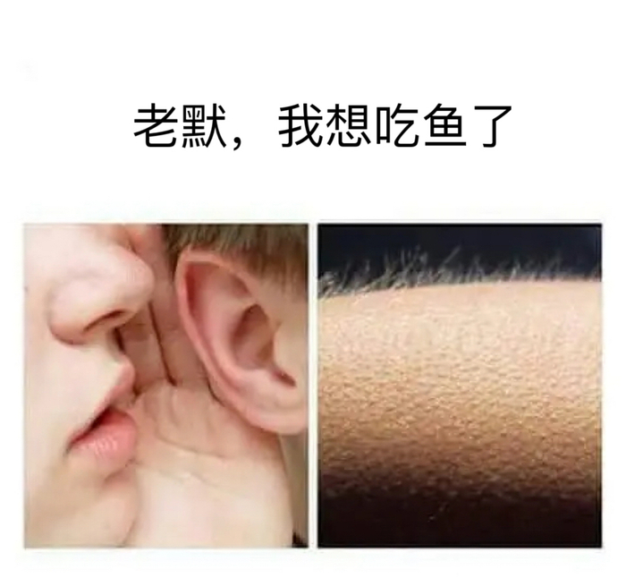 （图片源自网络）