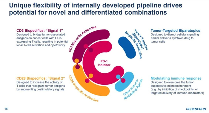 ▲再生元构建抗癌组合疗法的策略（图片来源：再生元官网）