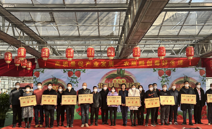 2月4日，第九届“北京草莓之星”评选暨第四届昌平草莓节活动现场。受访者供图