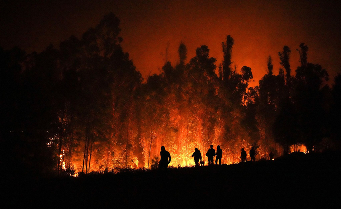 当地时间2023年2月4日，智利普伦，志愿者们在燃烧的树木附近为消防员运送物资。