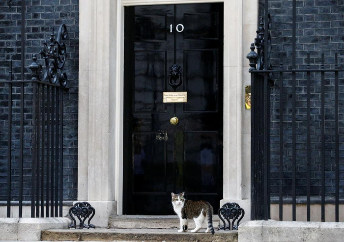 ▲英国伦敦唐宁街10号首相府资料图。图/新华社