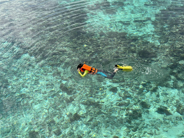 林靖和家人在马尔代夫水屋浮潜。 受访者供图