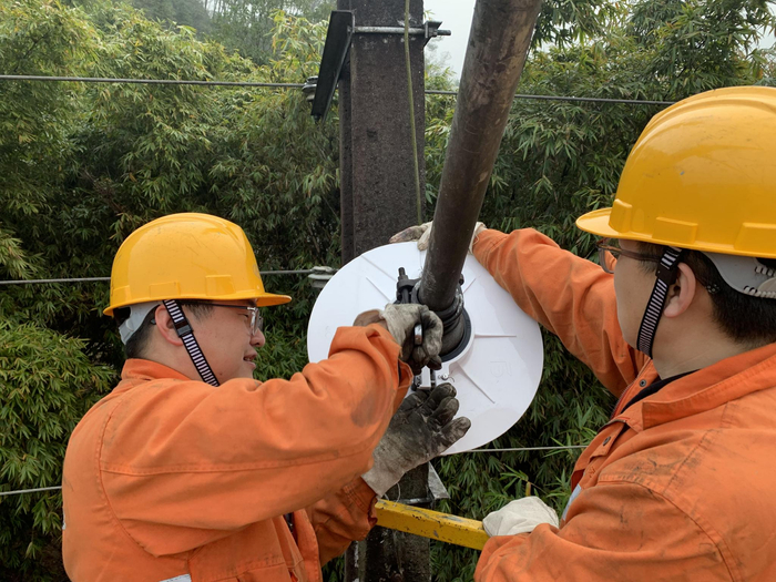 厦门铁路职工在鹰厦铁路沿线安装防飞鼠设备。厦门铁路供电段供图