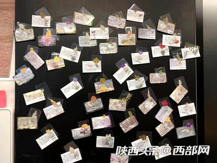 西安高新区第二十小学三年级的老师们还给每个孩子准备了以植物为主题的新学期寄语。