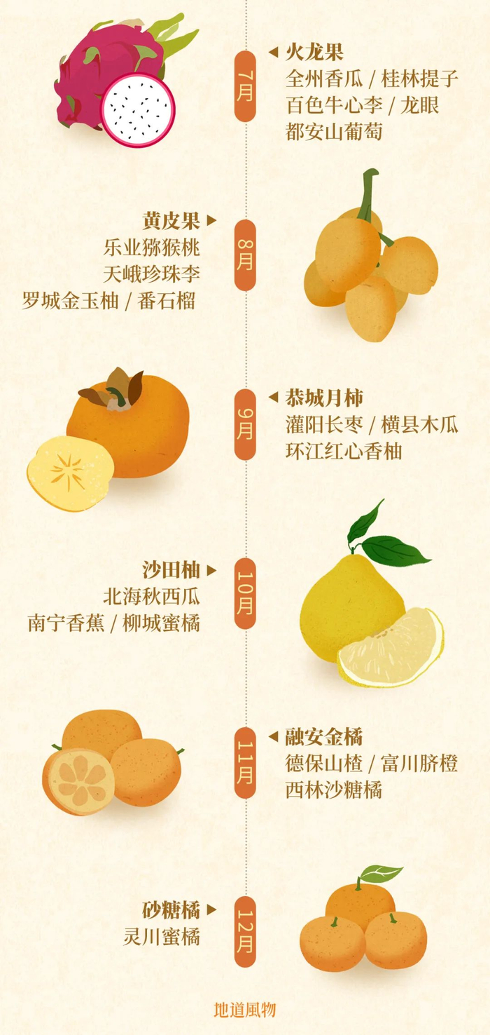 广西月月都有新鲜水果上市。图源：地道风物（制图/吴玖洋）