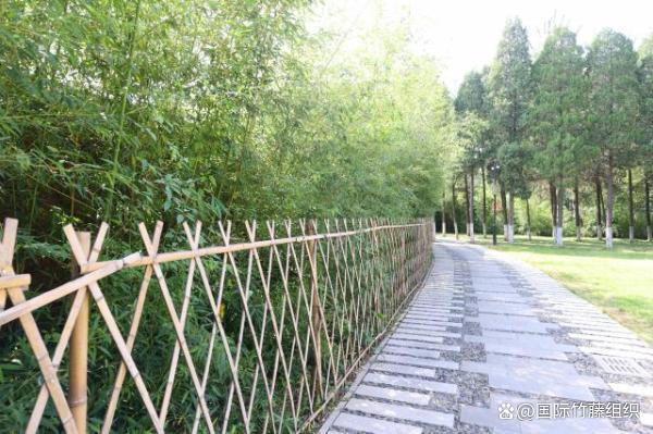       △ 天津红桥区竹园公园     