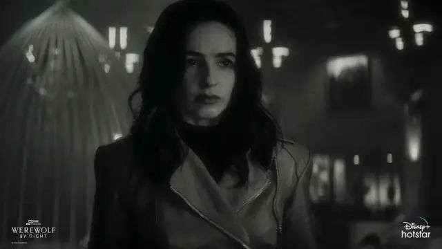 图源：《暗夜狼人》