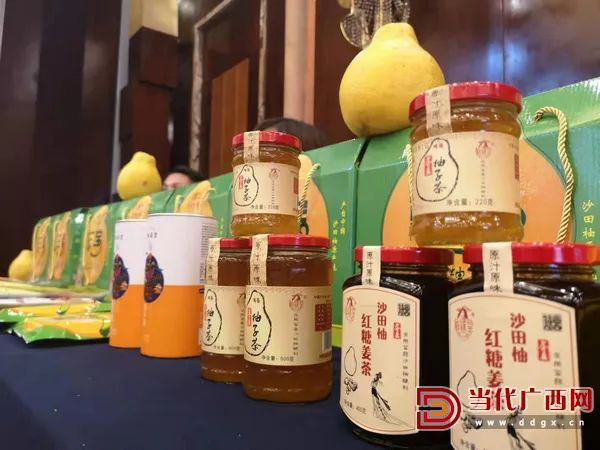 通过深入推进“旅游+”产业融合，容县以沙田柚为龙头的名、特、优、稀经济林果业得到了长足发展。覃雪花 摄