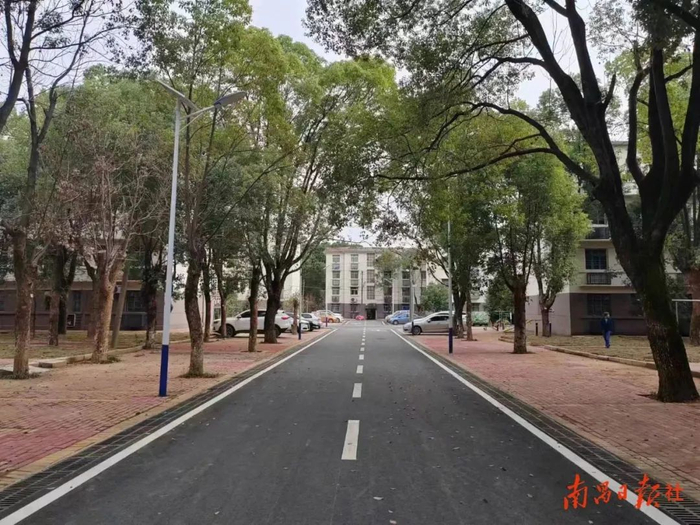 南昌经开区变压器厂宿舍小区绿化美化