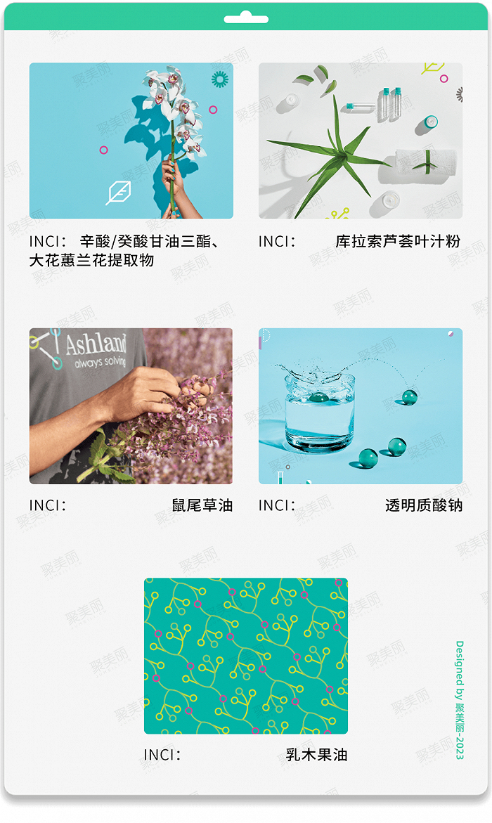 “ The Natural Line ”个人护理产品系列