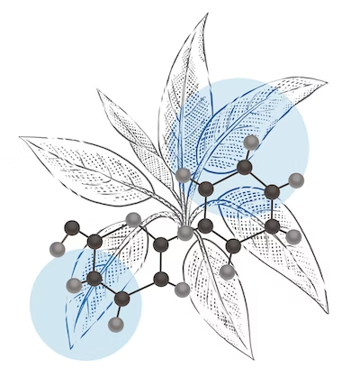 Galactinol Advanced 启发自具有独特生存能力的复活植物