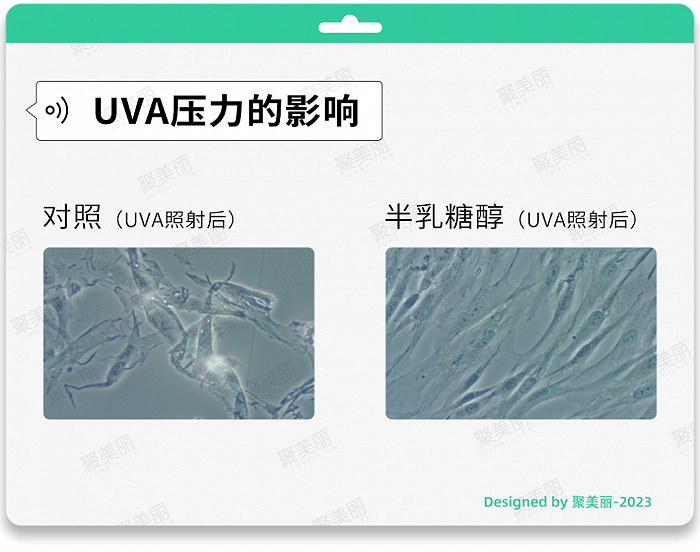 图片来源于科莱恩官网