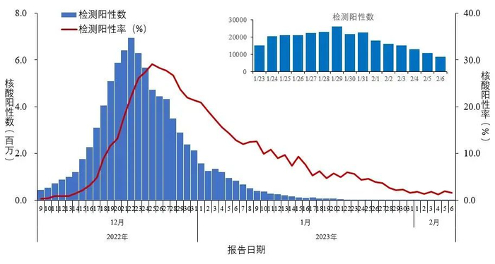 全国报告人群新型冠状病毒核酸检测阳性数及阳性率变化趋势（数据来源于31个省（区、市）及新疆生产建设兵团报告） 