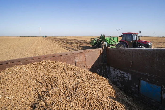 图库版权图片，不授权转载