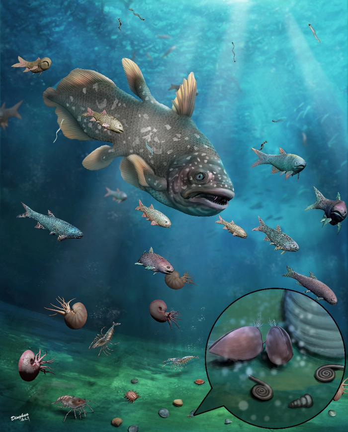 贵阳生物群生态复原图。（杨定华 绘）