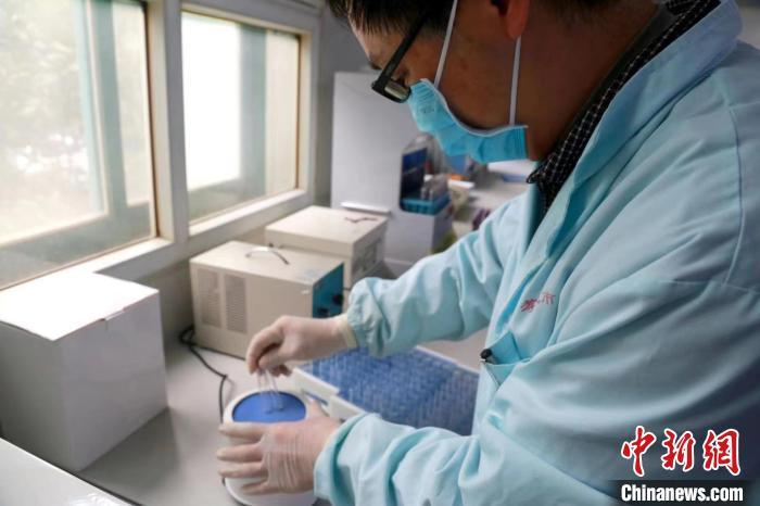 资料图：医务工作人员将试剂震荡混匀。 袁遂 摄