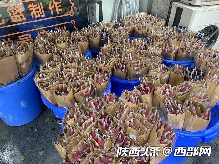 红玫瑰广受欢迎。