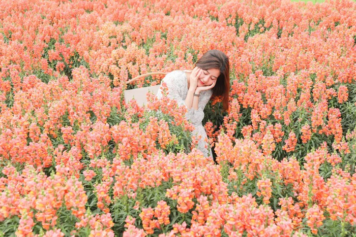 盈香生态园供图