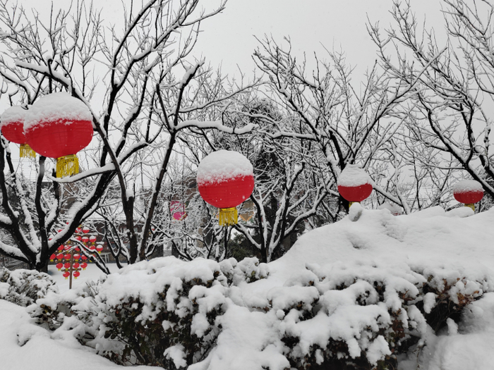 图为济南跑马岭