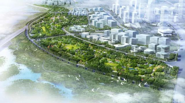 渭河南岸绿带（一期）绿化项目效果图