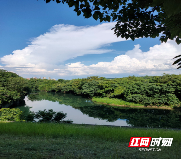 东安县白牙市镇样板河:美丽的紫水河风光|紫水河|市镇|东安县_新浪