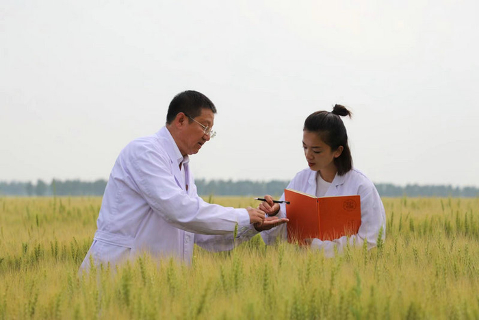 专家查看作物长势