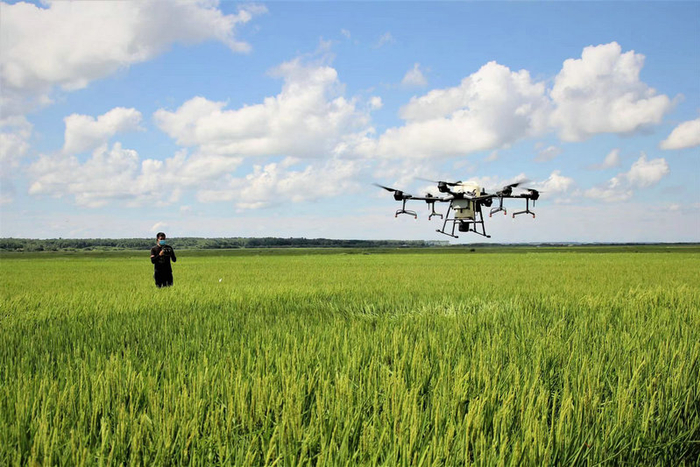 无人机植保作业