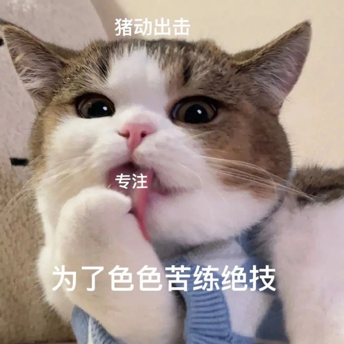 表情包来啦 今晚那个吗 一次,你又不行了 宝贝我来啦……
