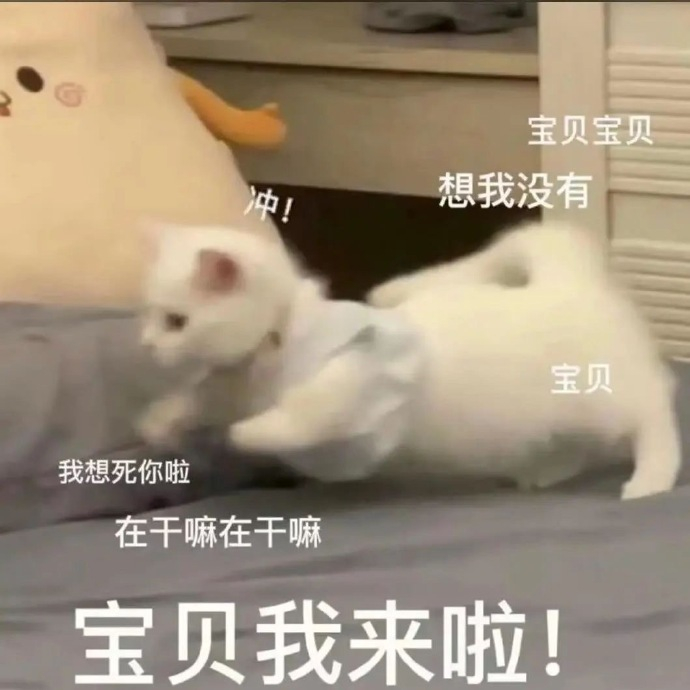 表情包来啦 今晚那个吗 一次,你又不行了 宝贝我来啦……
