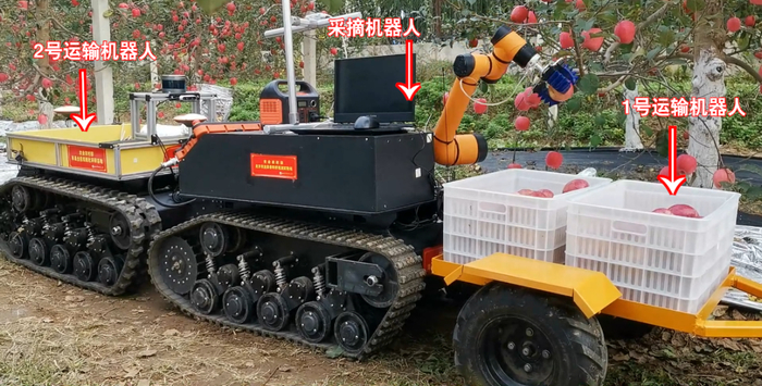 杨福增教授团队研发的单臂苹果采摘机器人。