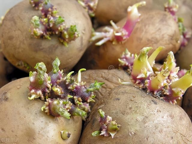 3样你以为“脏”的食物，其实营养丰富，真正的“健康杀手”是它-脏的东西能吃吗