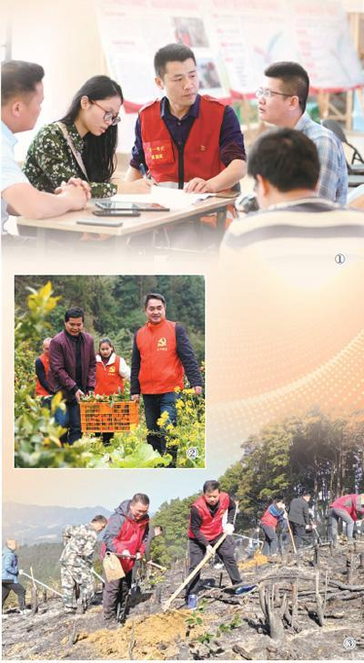 图①：融安县大坡乡驻村第一书记黄晨晖（中）和乡镇干部、工程设计人员在讨论村产业示范带规划方案。