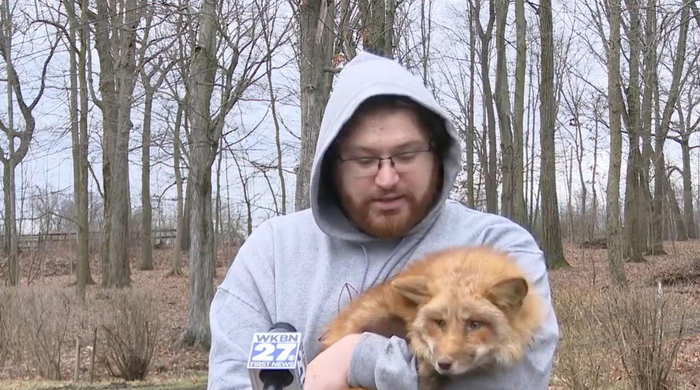 当地居民接受采访表示，列车脱轨后，他家养的狐狸突然生病。图片来源：纽约邮报&nbsp;