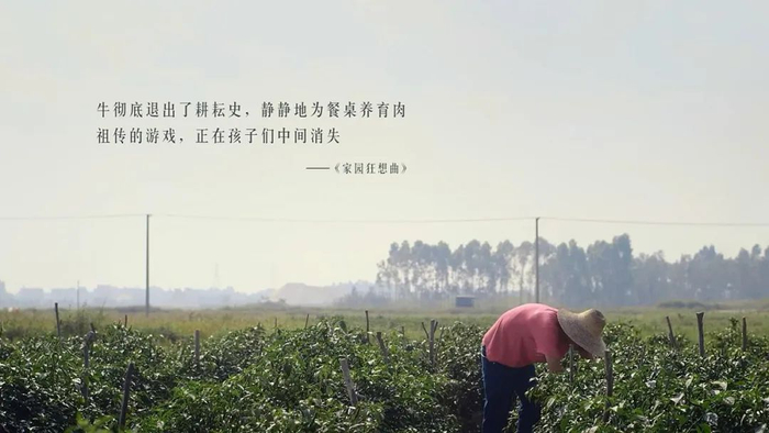 《我的诗篇》纪录片截图