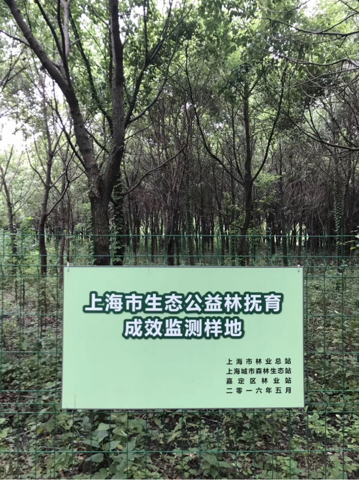 嘉定区抚育示范点