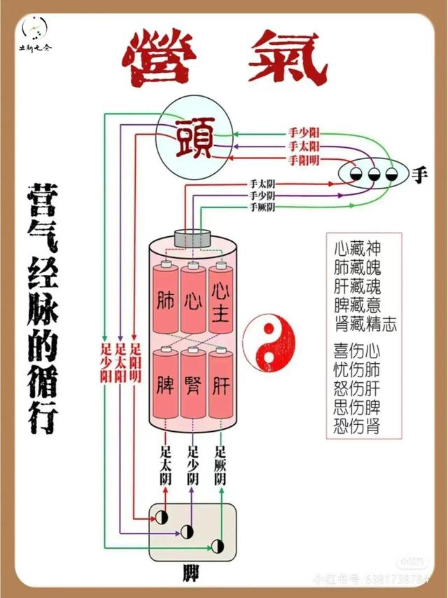 全面了解中医里的“宗气”、“卫气”、“营气”、“元气”_新浪新闻