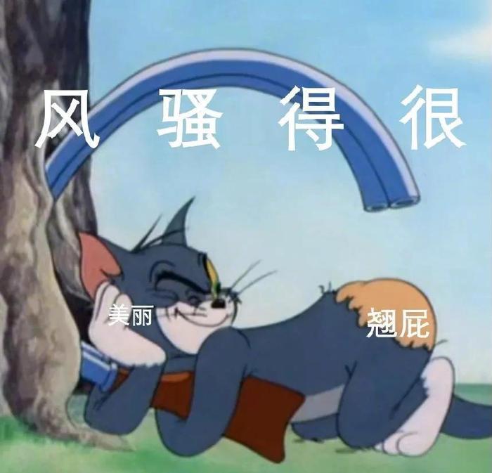 使点什么坏好呢表情包图片