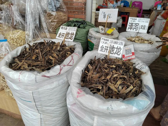 2022年7月，玉林中药港售卖的地龙