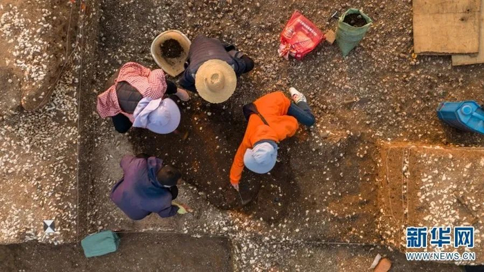 考古工作者在云南晋宁古城村遗址现场开展清理发掘工作（摄于2月7日）。新华网 赵普凡 摄