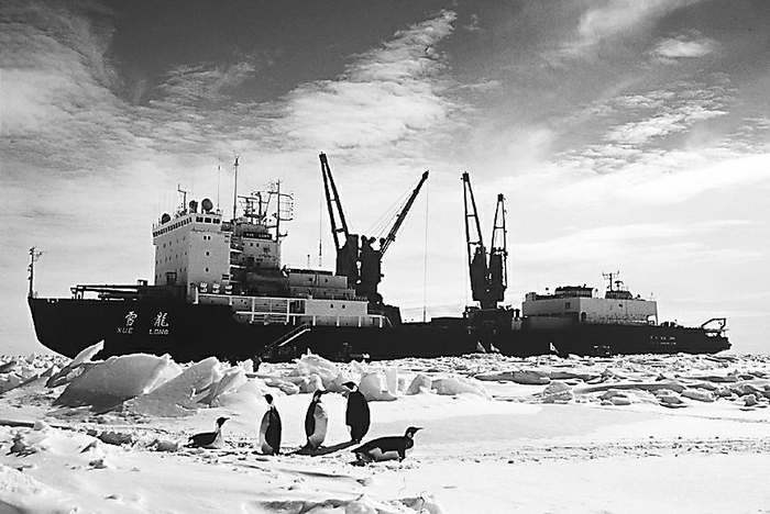 雪龙号在南极洲。（资料照片）
