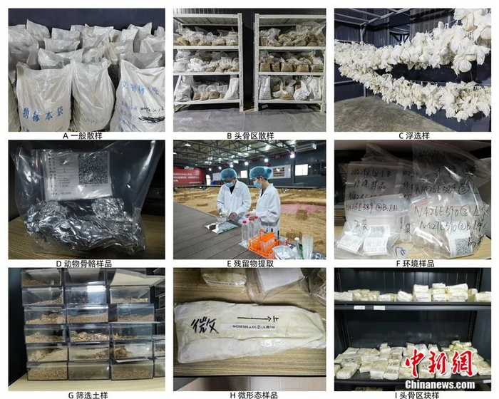 取样合集。湖北省文物考古研究院供图