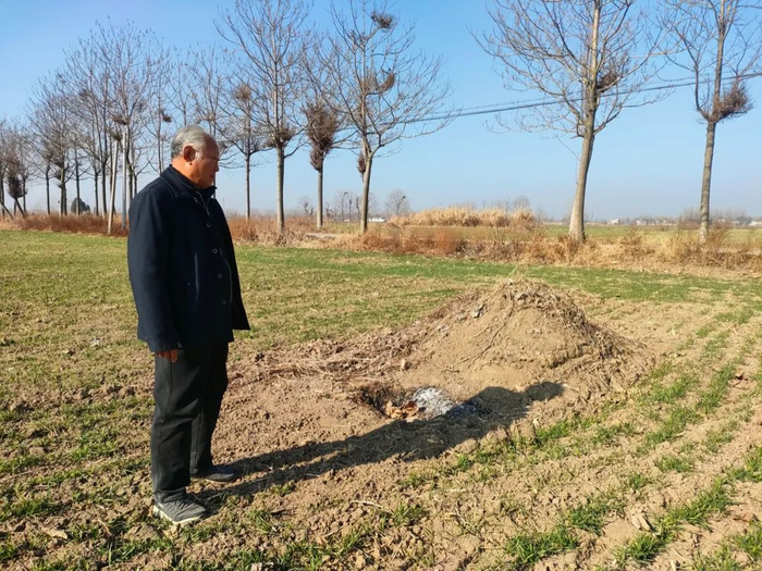 春节前后，李奎星到李四强坟前看望弟弟