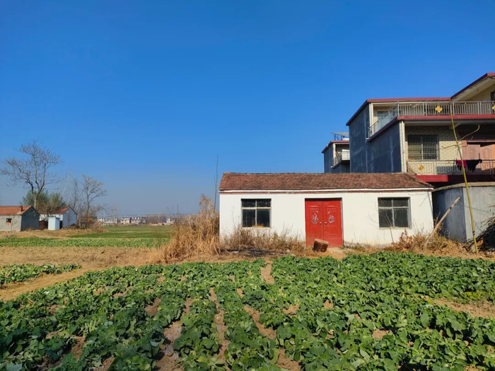 白色平房是李四强家的老屋，出狱后，他在这里度过了最后的时光