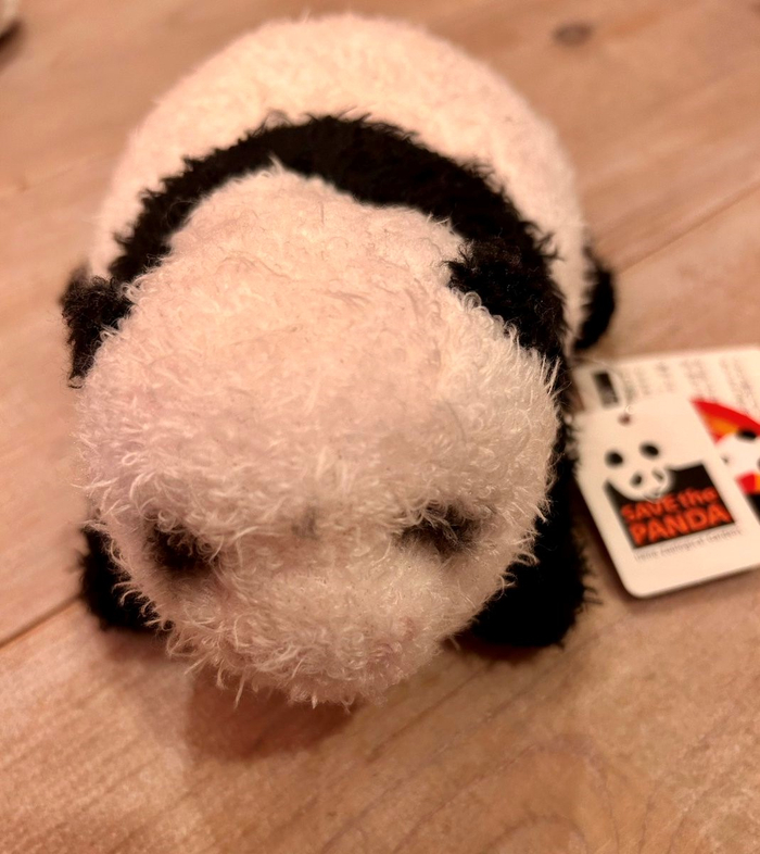 　带有“SAVE the PANDA”的香香毛绒玩具。/romi供图