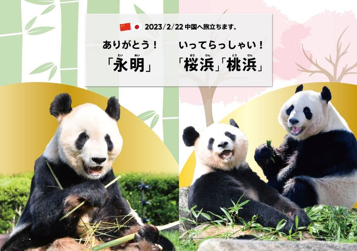 和歌山县白浜町“冒险世界”为“永明”“樱浜”“桃浜”制作送别海报。/冒险世界推特