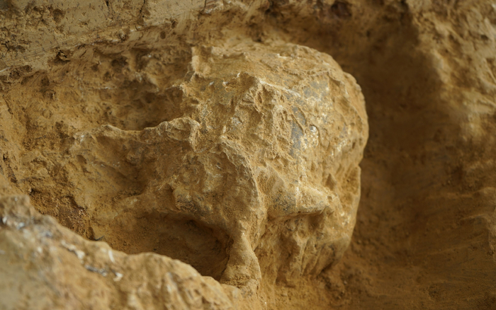 “郧县人”3号头骨。湖北省文物考古研究院供图