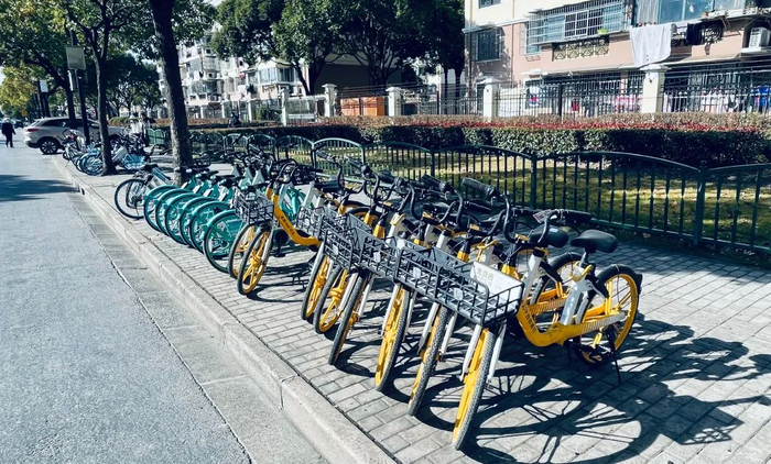 《国际金融报》记者 张力/摄