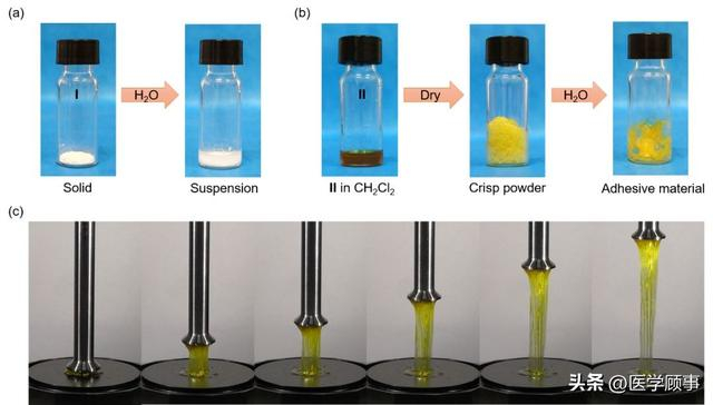 《JACS》:基于氢键作用的超分子黏附材料