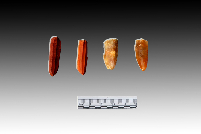 四台遗址出土的锥形石核（一期）。河北省文物考古研究院供图