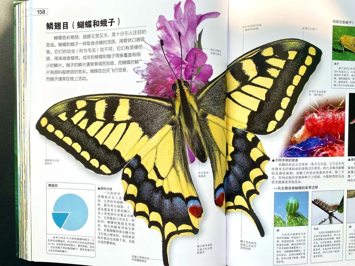 图片均为手机拍摄，不足以呈现原书画质的1/10